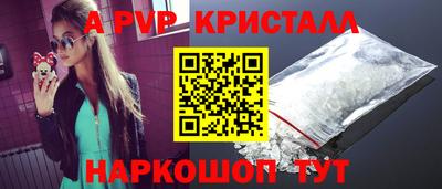 spice Гатчина