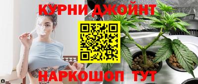 spice Гатчина