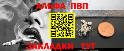 spice Гатчина