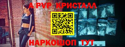 spice Гатчина
