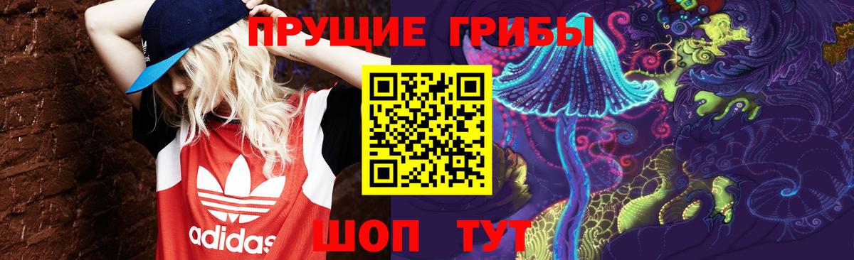 Галлюциногенные грибы GOLDEN TEACHER  Вход с VPN  Белгород 
